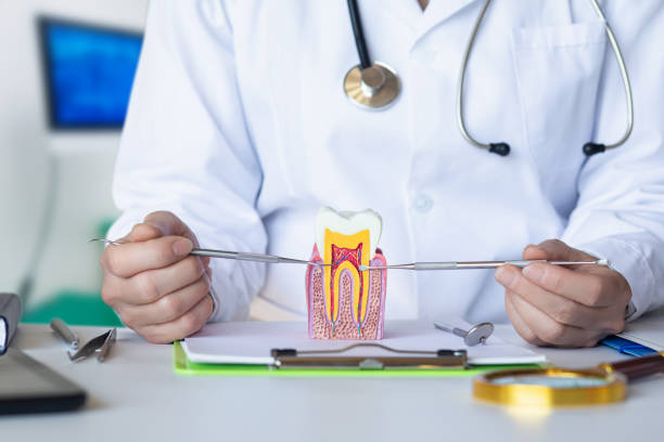 Best Broken or Cracked Tooth Emergency Dentist in Santee, SC